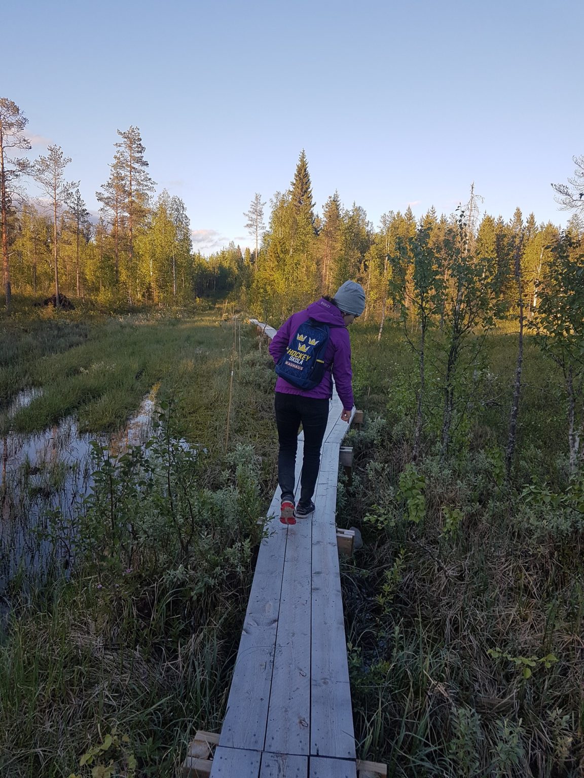tv-lvsleden-vindelns-naturskyddsf-rening